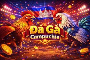 Đá Gà Campuchia KING79 – Trực Tiếp Đổi Thưởng Đỉnh Cao